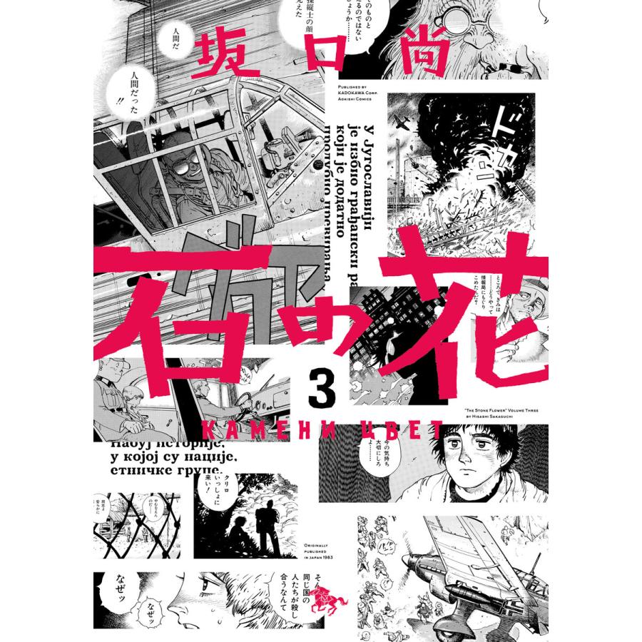 石の花(KADOKAWA版) 3 電子書籍版 / 著者:坂口尚 | 
