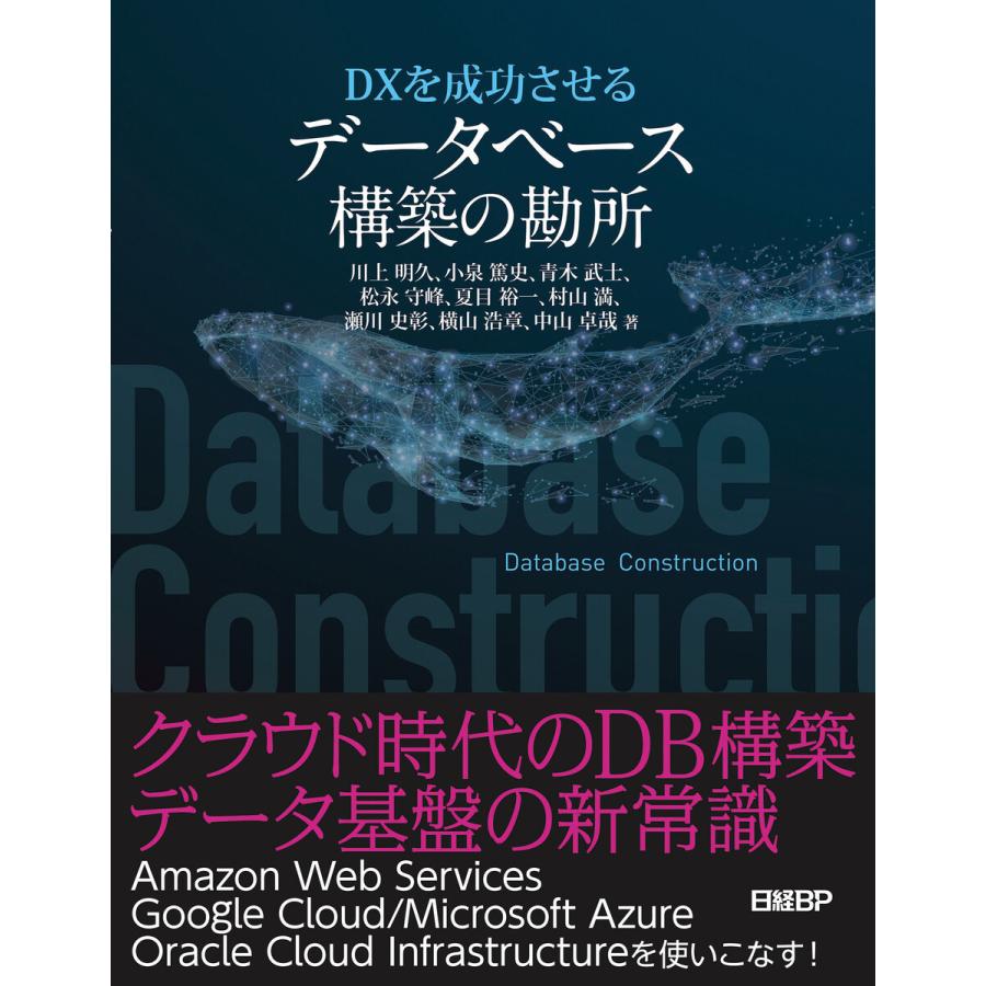 DXを成功させる データベース構築の勘所 電子書籍版｜ebookjapan
