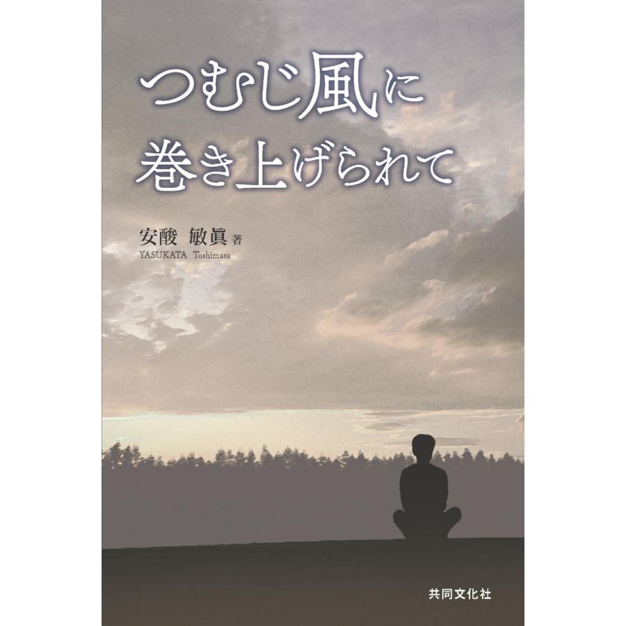 つむじ風に巻き上げられて 電子書籍版 / 著:安酸敏眞｜ebookjapan