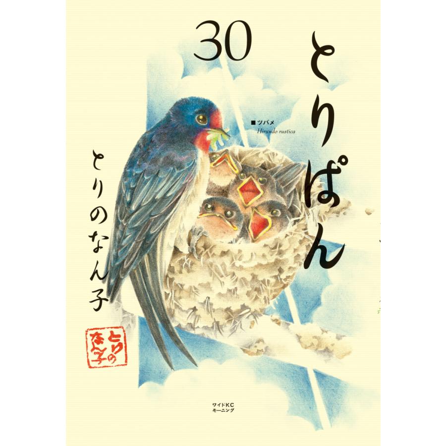 とりぱん (30) 電子書籍版 / とりのなん子 | 
