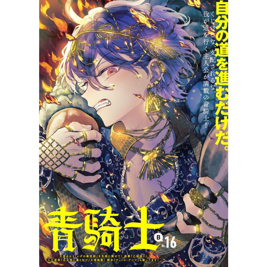 青騎士 第16B号 電子書籍版 / 編:あすか編集部 | 