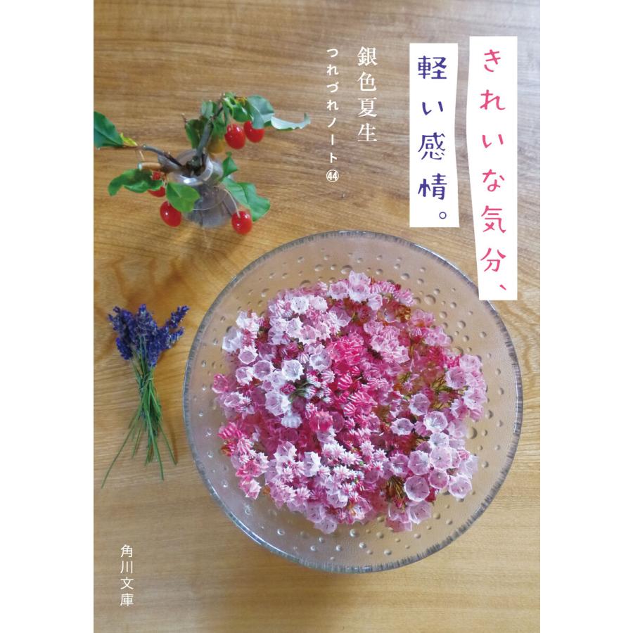 きれいな気分、軽い感情。 つれづれノート(44) 電子書籍版 / 著者:銀色夏生 | 