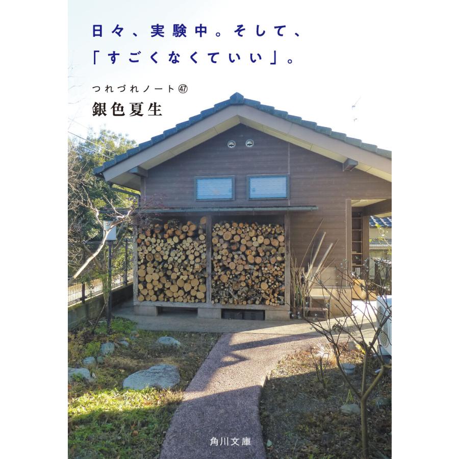 日々、実験中。そして、「すごくなくていい」。 つれづれノート(47) 電子書籍版 / 著者:銀色夏生 | 