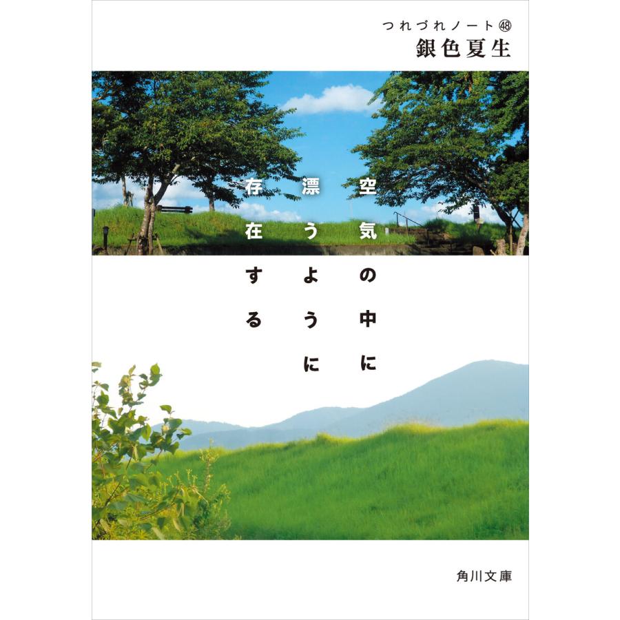 空気の中に漂うように存在する つれづれノート(48) 電子書籍版 / 著者:銀色夏生 | 