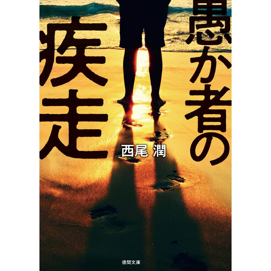 愚か者の疾走 電子書籍版 / 著:西尾潤 | 