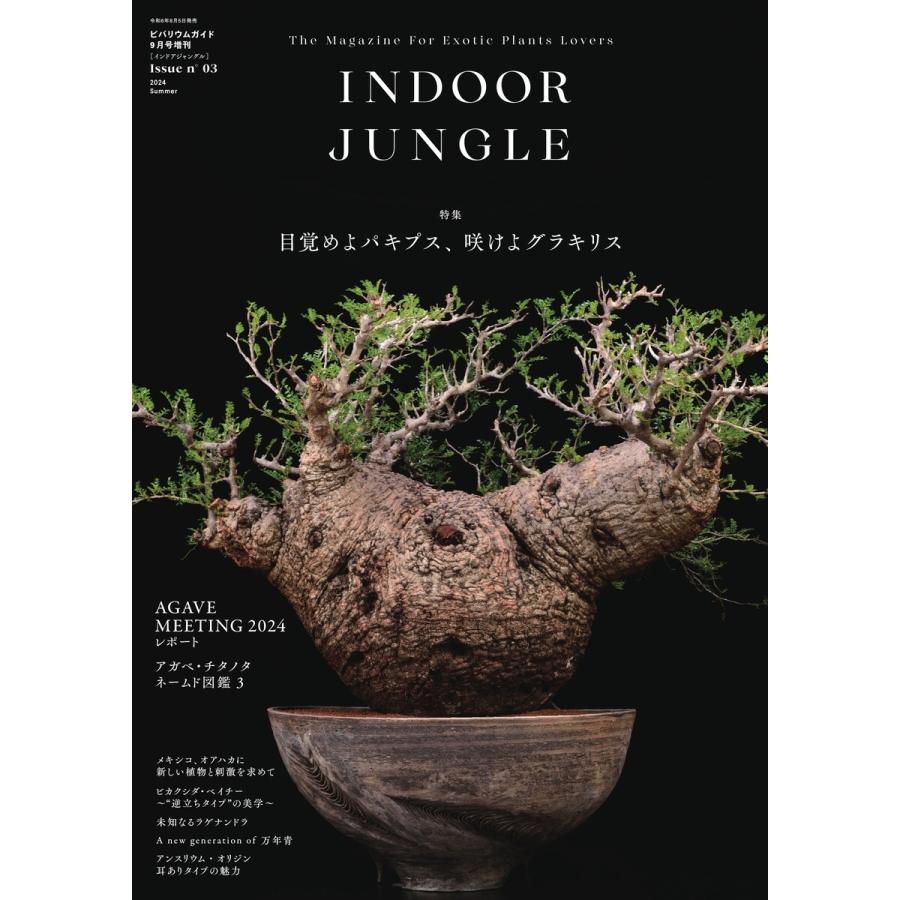 INDOOR JUNGLE No.03 電子書籍版 / JUNGLE編集部 : ebookjapan ヤフー