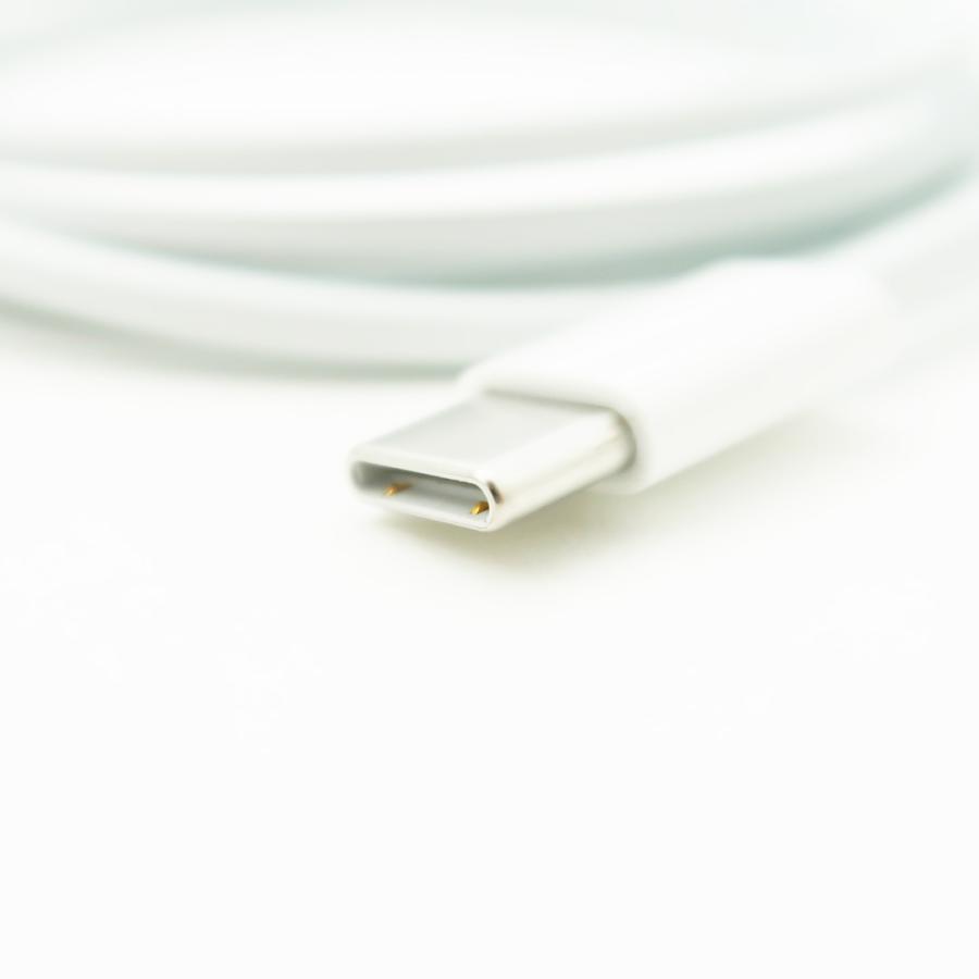 Apple Apple純正 20W USB-C電源アダプタ & USB-C充電ケーブル Apple Apple純正 20W USB-C電源アダプタ & USB-C充電ケーブル