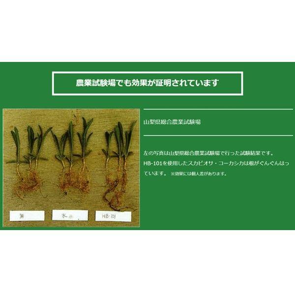 在庫 フローラ 4522909000029 HB−101 1L 安全・無害で減農薬栽培や有機栽培にも 使い方カンタン すべての植物に威力を発揮する天然 あすつく対応_7