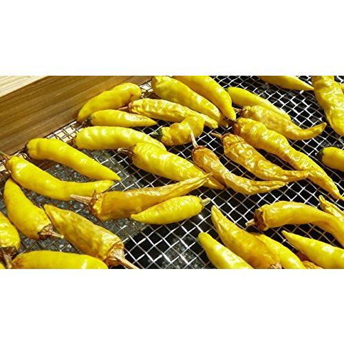 黄金一味唐辛子2パック 本場福岡 激辛一味 10g2袋 計g入り 粉末 スパイス 香辛料 A B00h15j79w Ec Joint 通販 Yahoo ショッピング