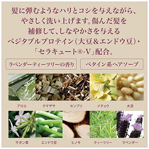 最安値に挑戦 オブ コスメティックス ソープオブヘア 1 Tl エコサイズ ラベンダーティーツリーの香り 1000ml 洗い流すタイ 50 Off Www Kmhsystems Com