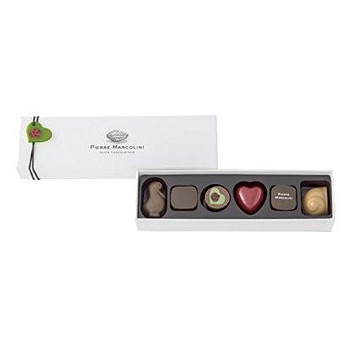 ピエールマルコリーニ チョコレート レ バレンタイン セレクション 6個入 バレンタイン ホワイトデー A B01aqk259c 2107 Ec Joint 通販 Yahoo ショッピング