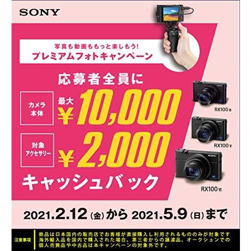 超激安 ソニー コンパクトデジタルカメラ サイバーショット Cyber Shot Dsc Rx100m5a A B07fbj9wnb Ec Joint 通販 Yahoo ショッピング 新しい到着 Blog Lonolife Com