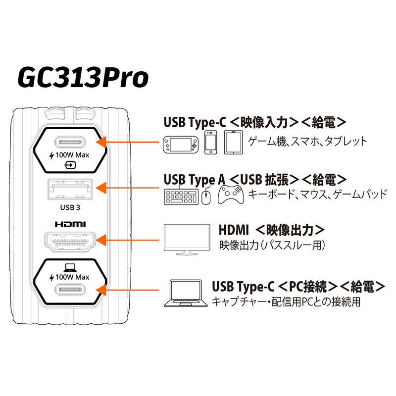 AVerMedia（アバーメディア） アバーメディアテクノロジーズ GC313 Pro