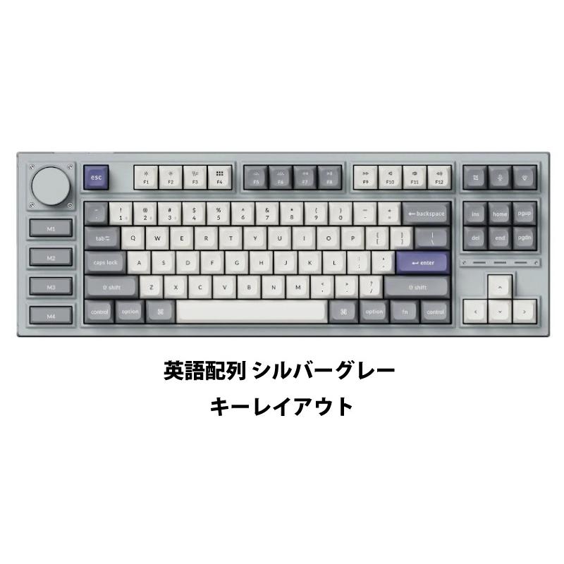 Keychron Q3 Pro 特別版 QMK/VIA シルバーグレー Mac英語配列