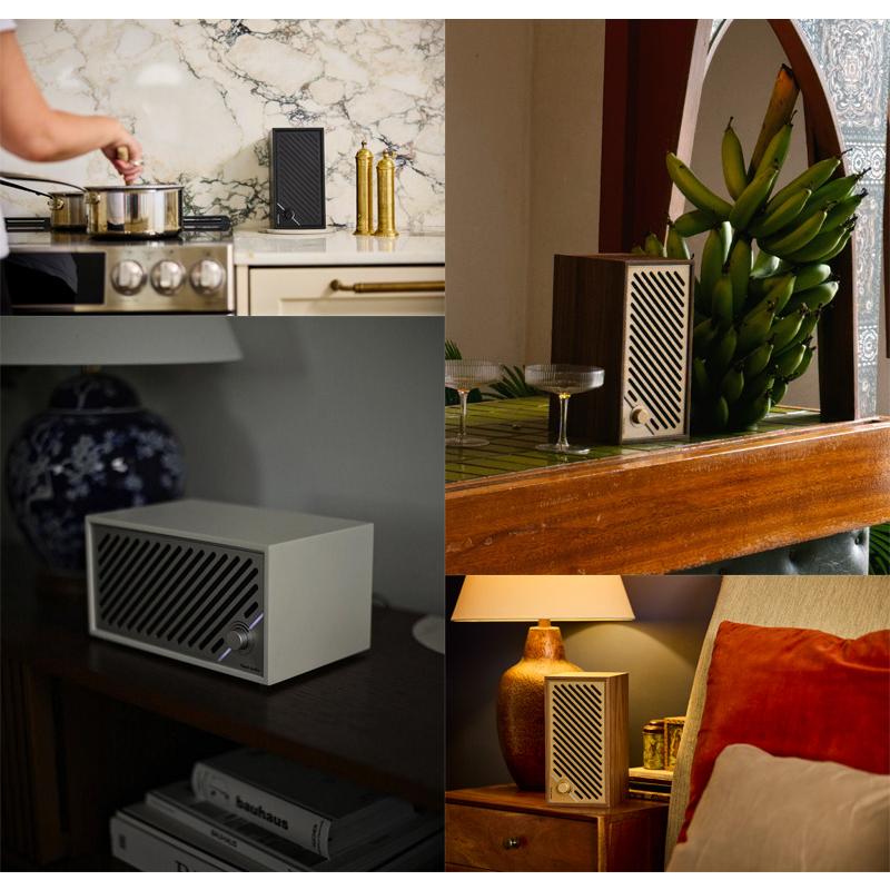 チボリオーディオ　Model TWO +スピーカー Tivoli Audio（チボリ・オーディオ） ブルートゥーススピーカー