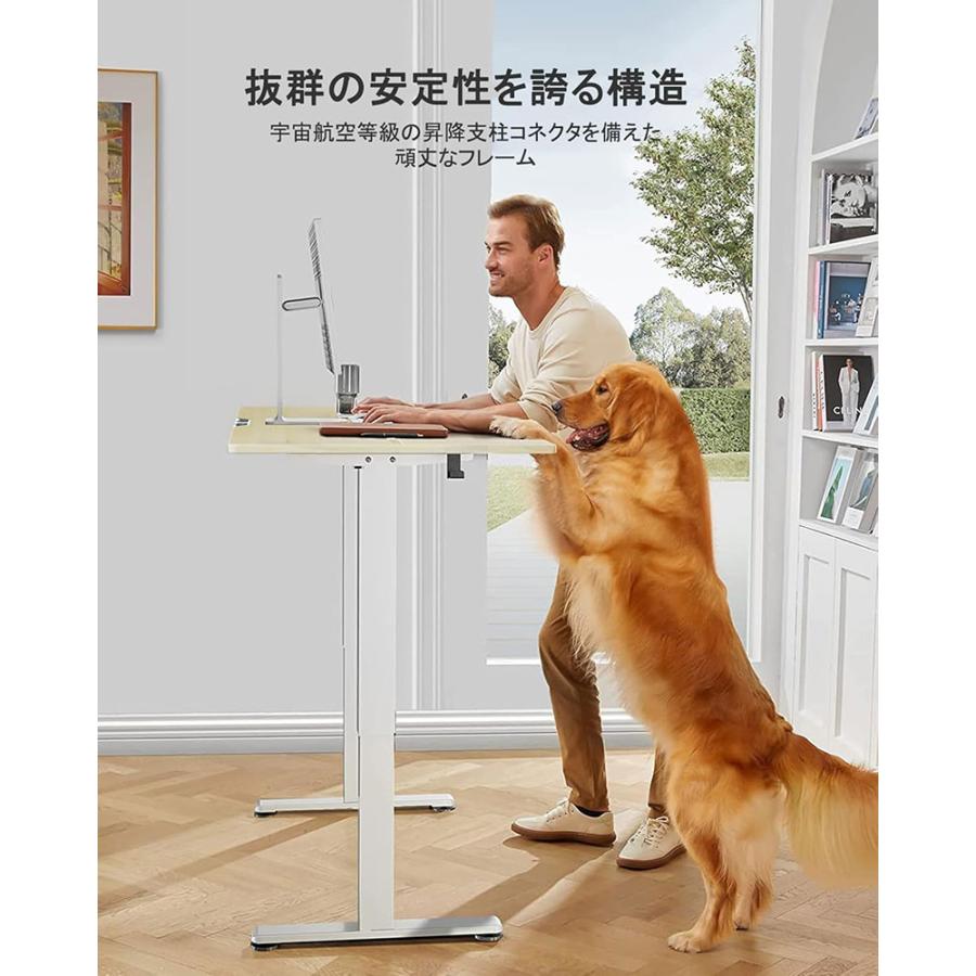 ErGear エルギア 電動昇降式 スタンディングデスク 幅120 x 奥行き60 