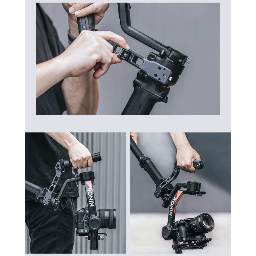 絵画】ボタニカルアート 「カトレア」原画