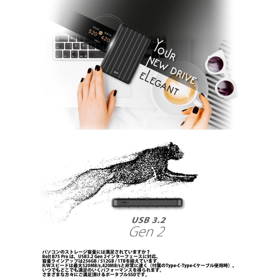 Silicon Power（シリコンパワー） 1TB Bolt B75 Pro USB3.2 Gen2
