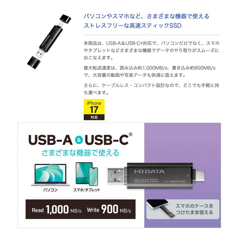 I-O DATA（アイ・オー・データ機器） IO Data アイオデータ 1TB 10Gbps