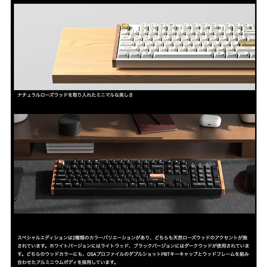 Keychron（キークロン） Keychron K10 HE スペシャルエディション 英語