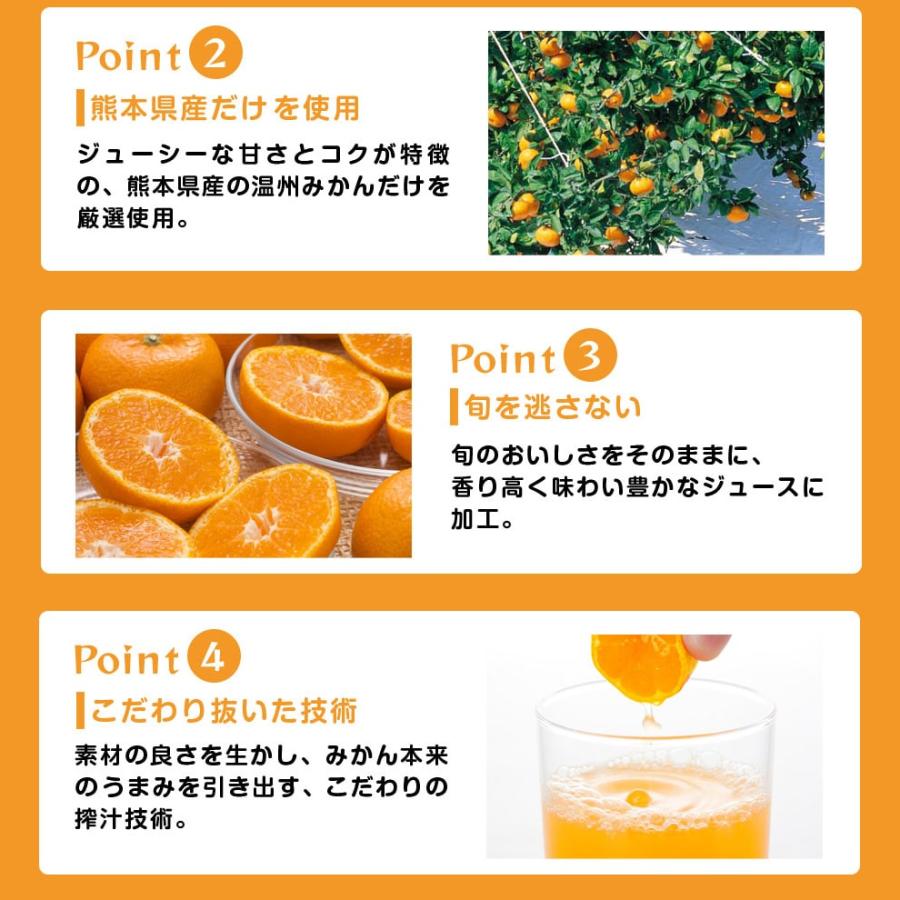 ジューシー 熊本みかんストレート100％ [200ml紙×24本入] | ジューシー | 05