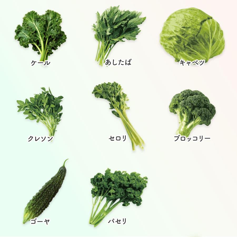 ジューシー 収穫野菜PLUS 16種類の果実と野菜 [200ml紙×24本入] : JA