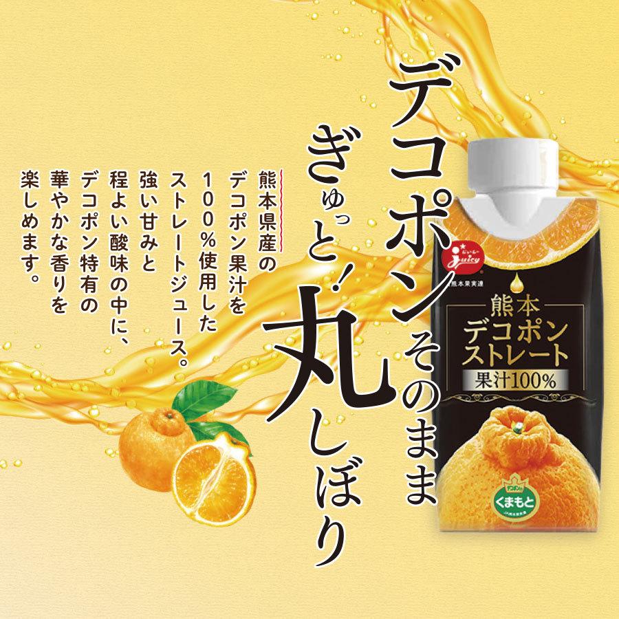 ジューシー 熊本デコポンストレート [195ml紙×12本入] : JA熊本果実連