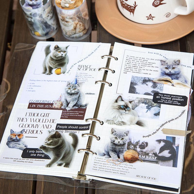 nene様 使用済 ペットロールシール 巻売り コラージュ素材 nene様 使用済 ペットロールシール 巻売り コラージュ素材