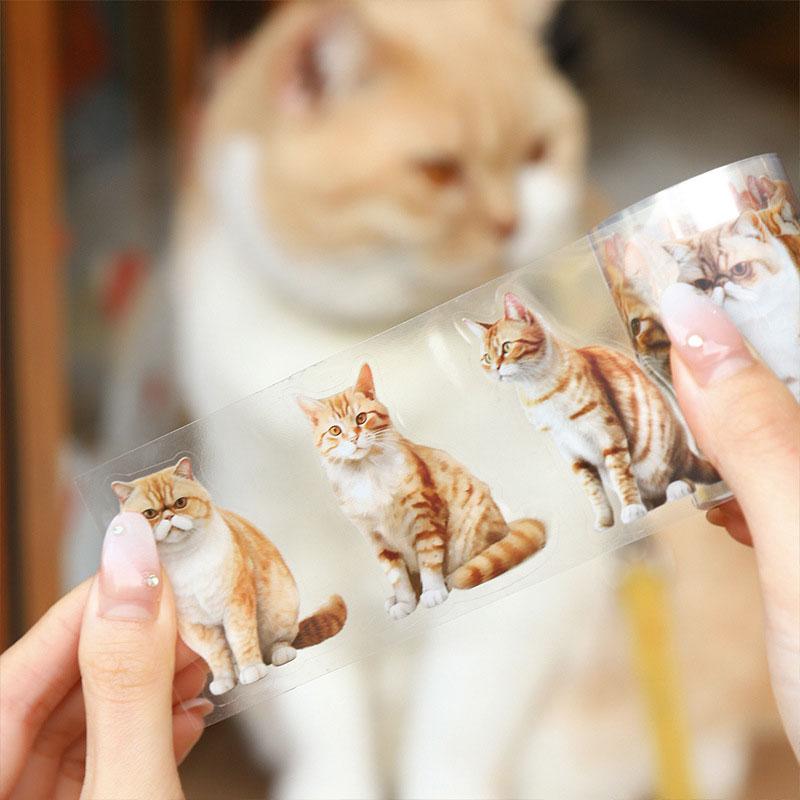 コラージュ 素材 ロールシール シール 動物 猫 写真 ネコ ねこ