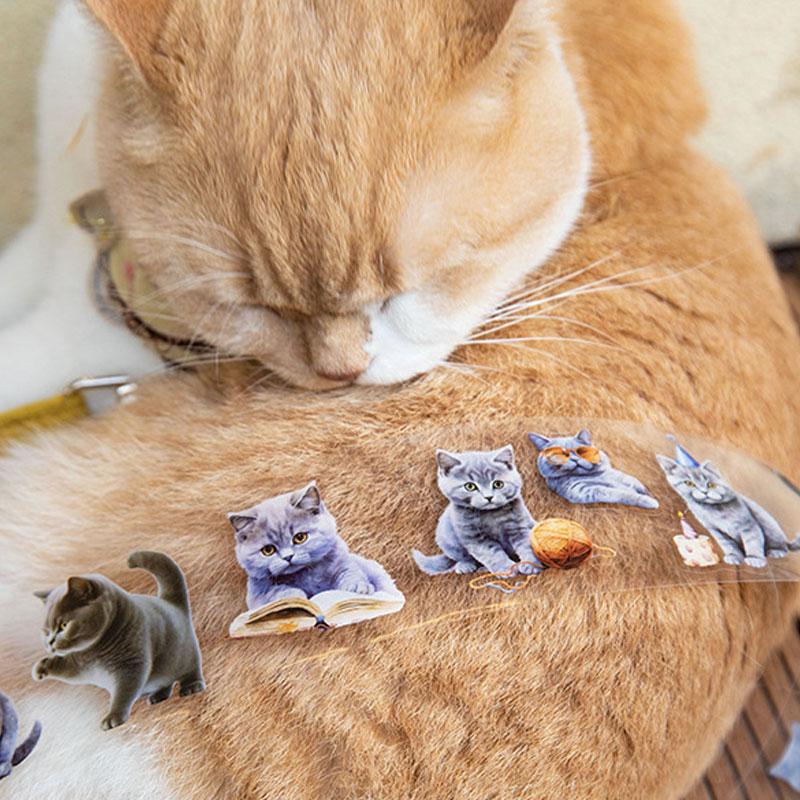 コラージュ 素材 ロールシール シール 動物 猫 写真 ネコ ねこ