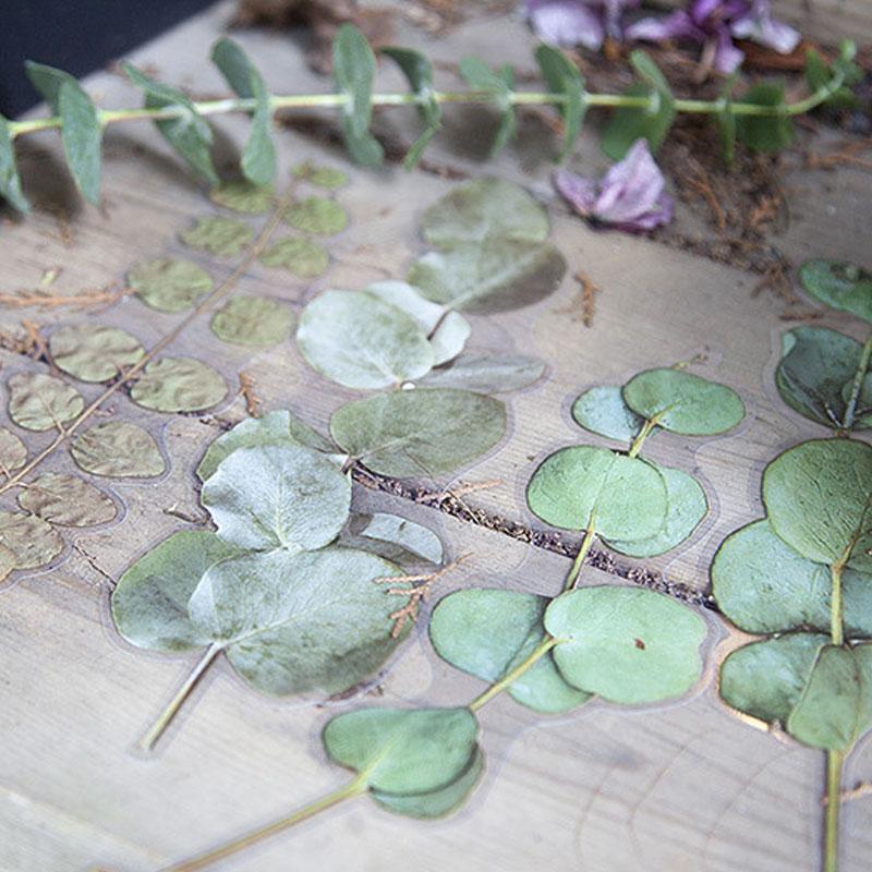 コラージュ 素材 シール 花 ドライフラワー 押し花 バラ 薔薇 ジャンク
