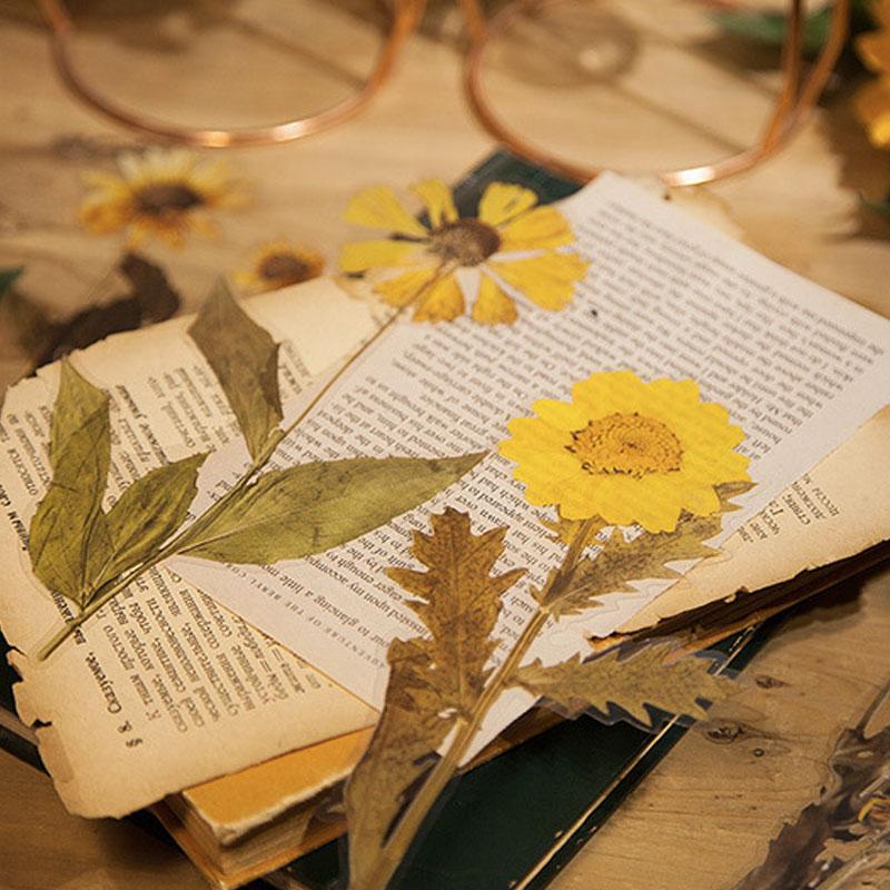 アンティーク タグ コラージュ ドライフラワー 手作り プレゼント №891w