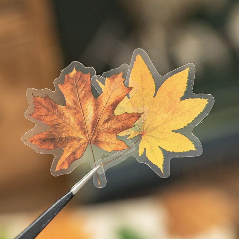 ST655 落ち葉 枯葉 紅葉 モミジ 銀杏 イチョウ 葉っぱ 秋 コラージュ