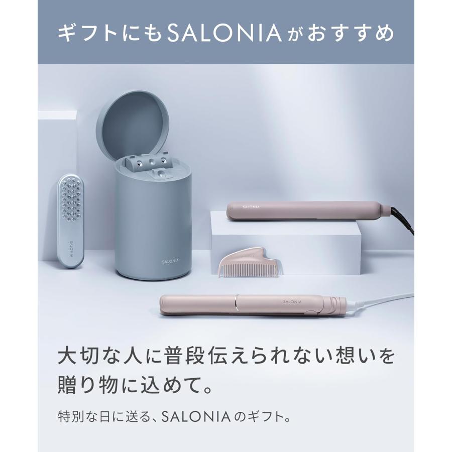 SALONIA（サロニア） ピュアブライト スチーマー 美容 フェイス