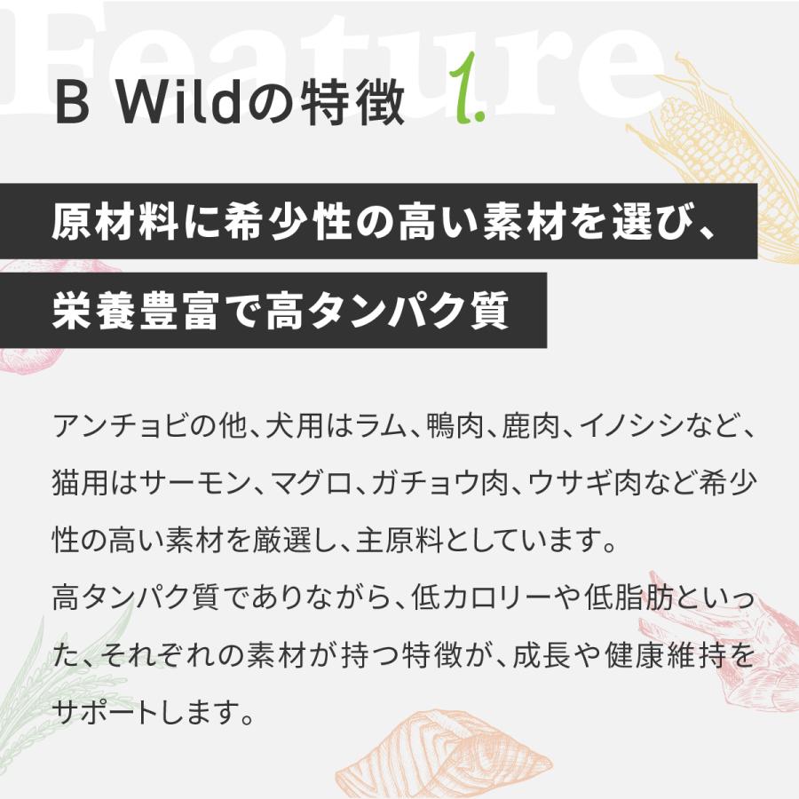 ドッグフード Bwild ビーワイルド アンチョビwithポテト＆エンドウ豆