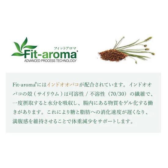 【2袋セット】mongee VetSolution 肥満サポート 3kg VetSolution 犬用 肥満サポート 3kg Monge 療法食 肥満 CANINE OBESITY