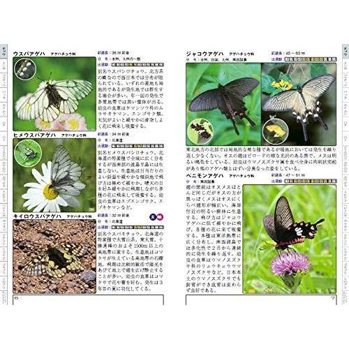 日本の昆虫生態図鑑｜ec-net｜04
