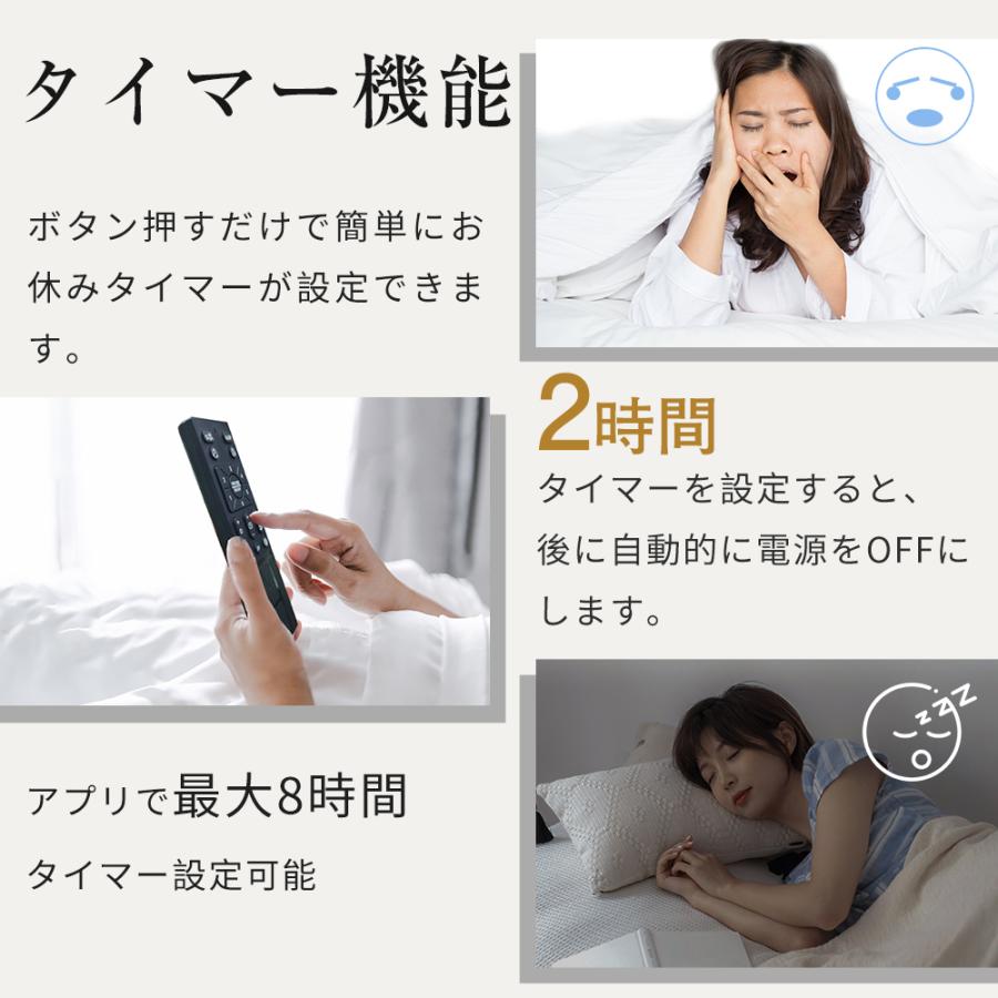 Hokonui 【限定クーポンで9980円】シーリングファンライト Hokonui 【限定クーポンで9980円】シーリングファンライト