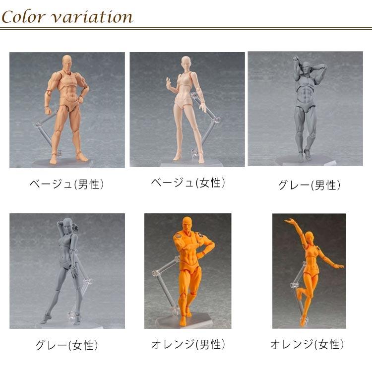 デッサンモデル デッサン フィギュアーツ ボディちゃん 男性