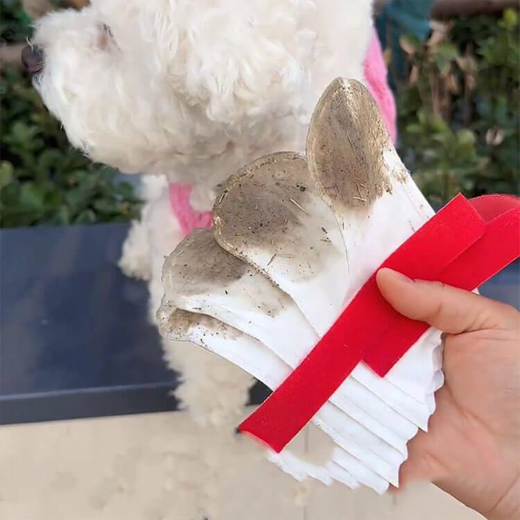 犬の靴 使い捨て 犬のシューズ 60個セット ドッグブーツ 不織布