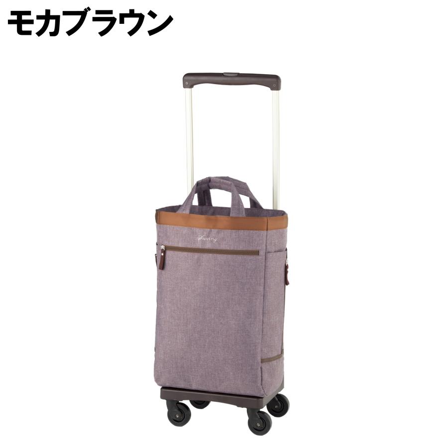 スワニー キャリーバッグ ヘリンボーネ L21 2輪ストッパー D-486 20L ソフトキャリーケース キャリーカート 買物カート 機内持込 着脱 SWANY スワニー キャリーバッグ 2輪ストッパー 20L ソフトキャリーケース 機内持込 着脱
