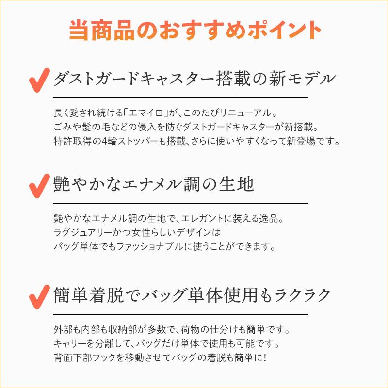 SWANY（スワニー） キャリーバッグ エマイロV エマイロ5 M18 4輪
