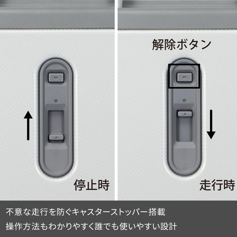 エース ace. スーツケース パリセイド3-Z 21L 06911 1~2泊 ファスナー ジッパータイプ 4輪 TSAロック コインロッカー収納サイズ 機内持込 旅行 ace｜ec-tokoplus｜13