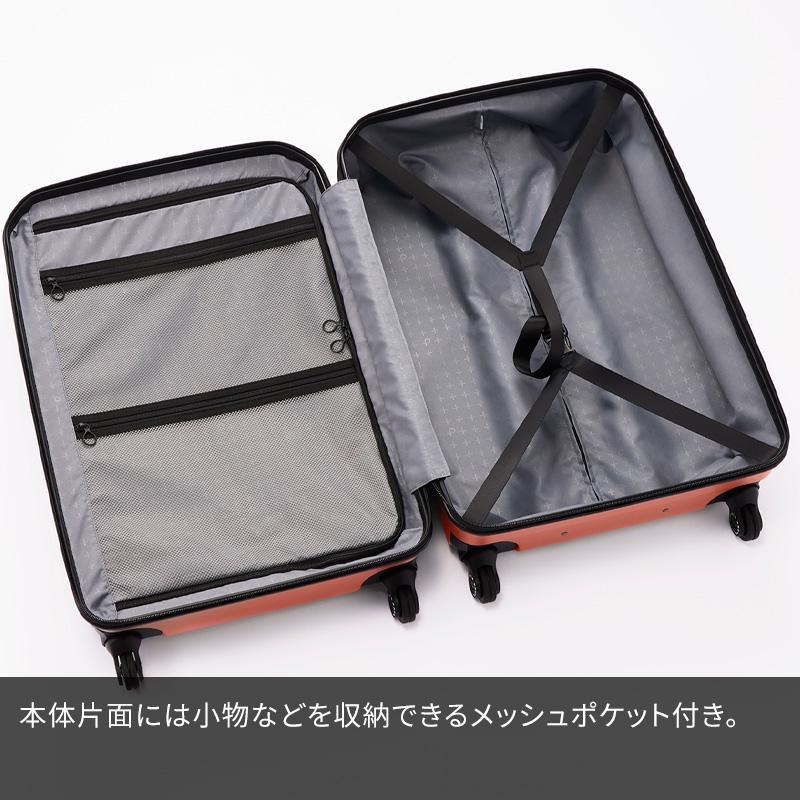 ProtecA エース Proteca プロテカ スーツケース ポケットライナー2 62L