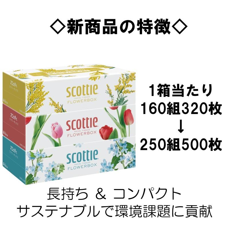 【特価商品】ティッシュ 長持ち 500枚(250組) 60箱 スコッティ フラワ スコッティ ティッシュ 500枚(250組) 60箱 フラワーボックス