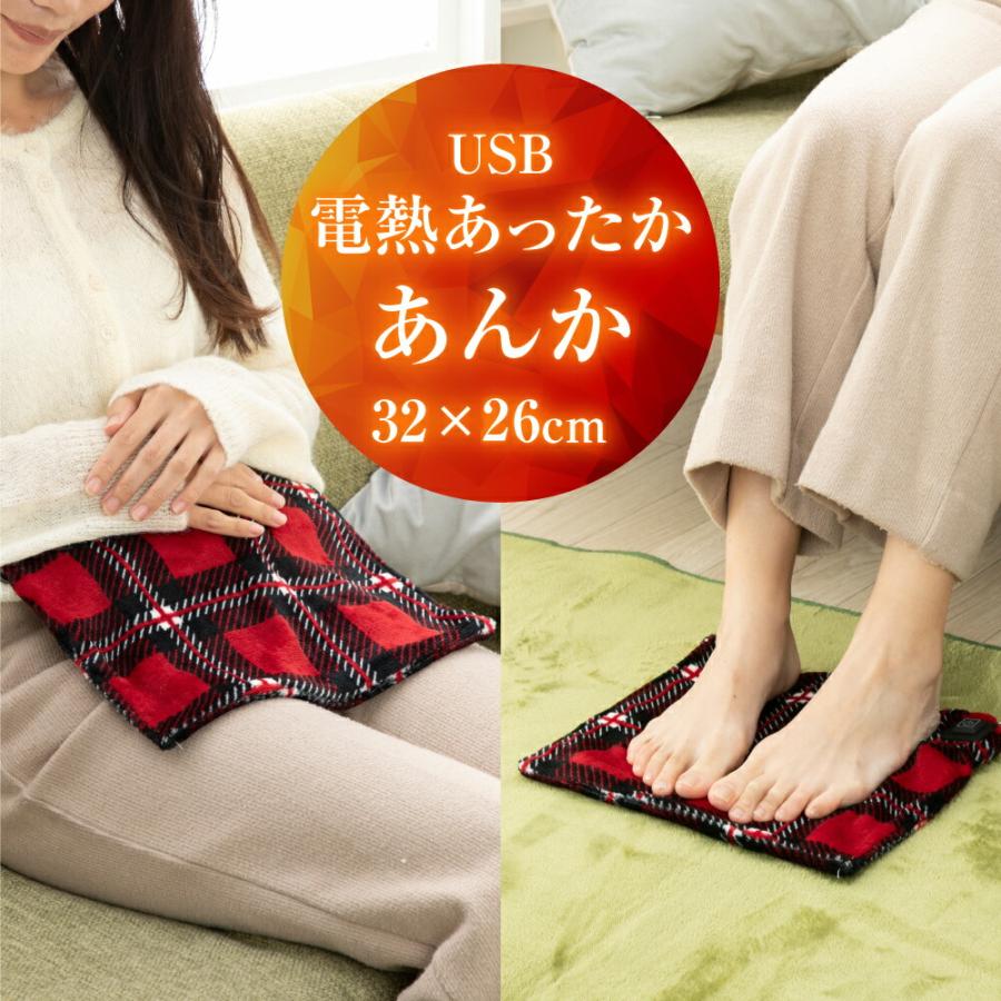 電気あんか