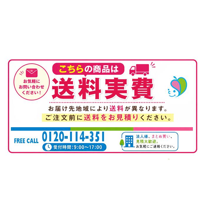 【送料実費】シコク　ベストサポート手すり　玄関台 / 626-002　ハイタイプ　メーカー直送 |  | 03