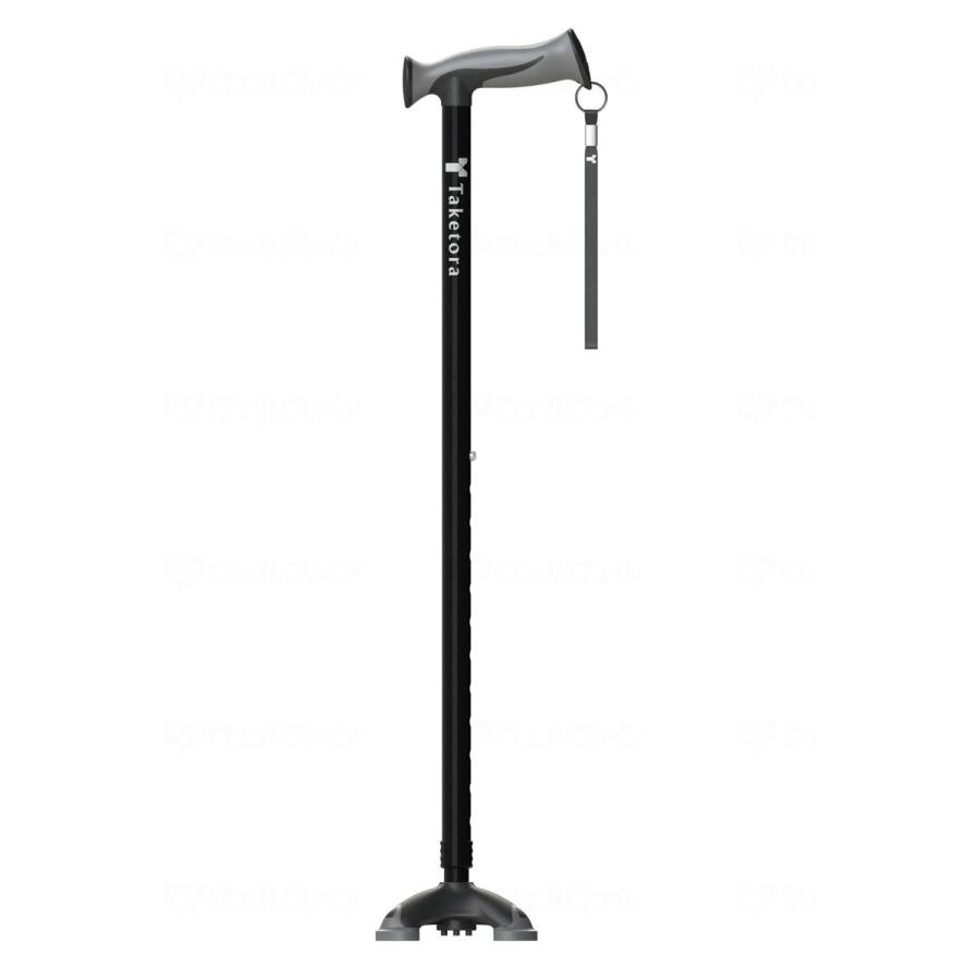 竹虎 バンブーステッキワイド多点杖 / 104880 ブラック : イイケア