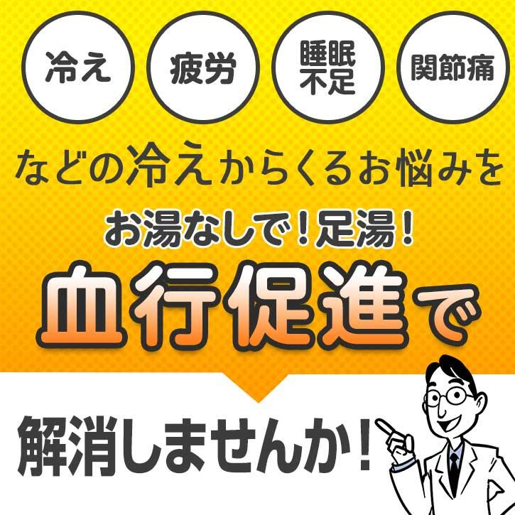 セラミック足湯 暖暖ふっと 1人用 / DW-1 SoL セラミックボール 足温器