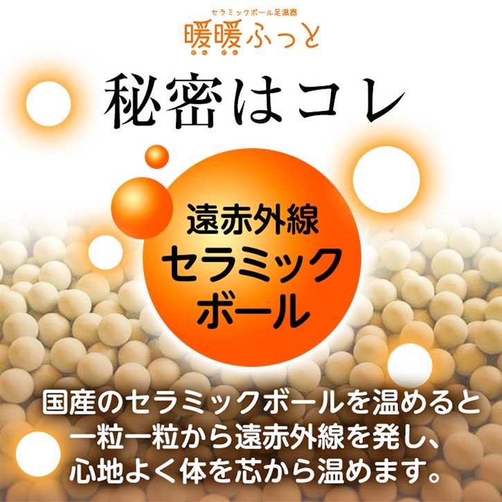 セラミック足湯 暖暖ふっと 1人用 / DW-1 SoL セラミックボール 足温器